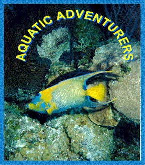 Click Here for Aquatic Adventures !