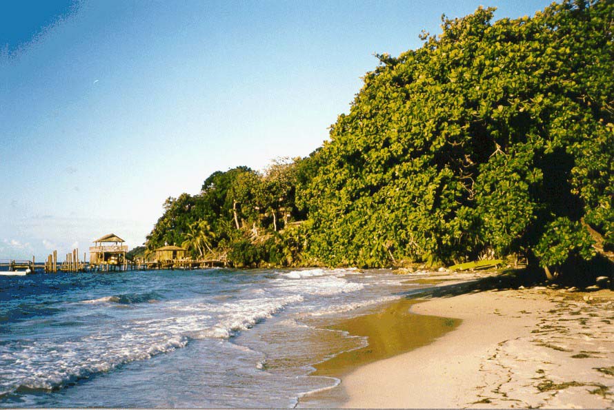 hndrs3.jpg (127139 bytes)