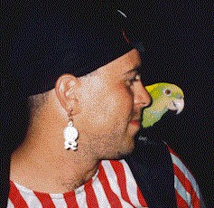 5ann9504.jpg (30309 bytes)