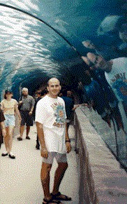 x9603.jpg (31224 bytes)