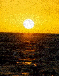 x9609.jpg (28014 bytes)