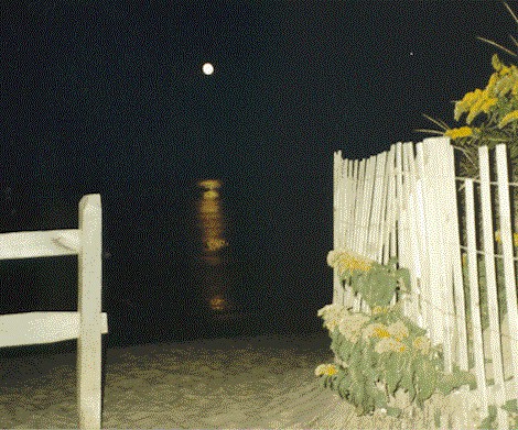 capcd02.jpg (93127 bytes)