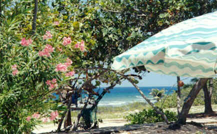 gdc9922jpg.jpg (63379 bytes)