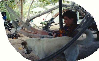 gdc9924jpg.jpg (37022 bytes)