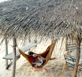 gdc33.jpg (33338 bytes)