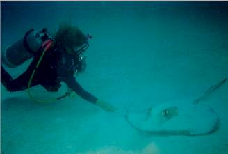 tj100003.jpg (6803 bytes)